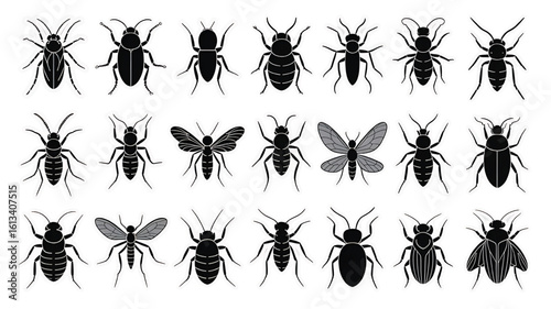 Collection of different insect vector silhouettes on a white background representing entomology and pest control designs