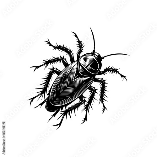 A detailed illustration of a cockroach isolated on white background