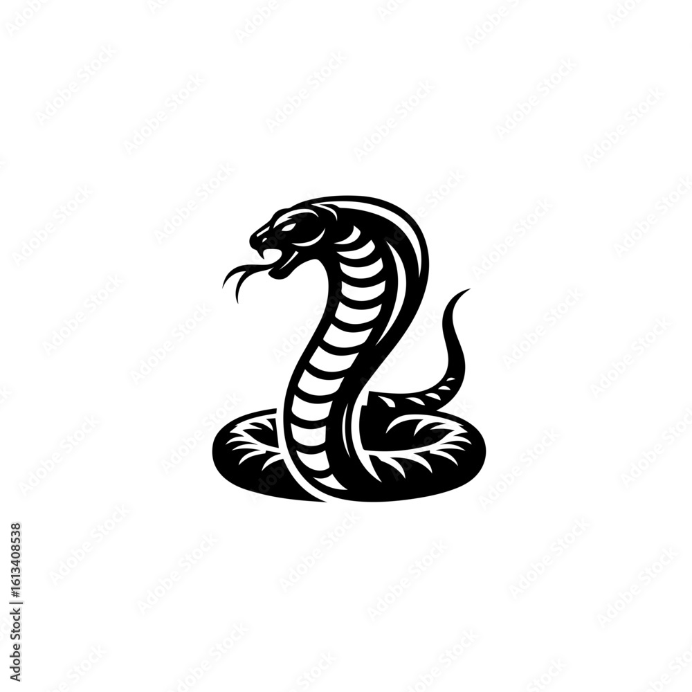 Fototapeta premium A cobra raises its head, isolated on white background