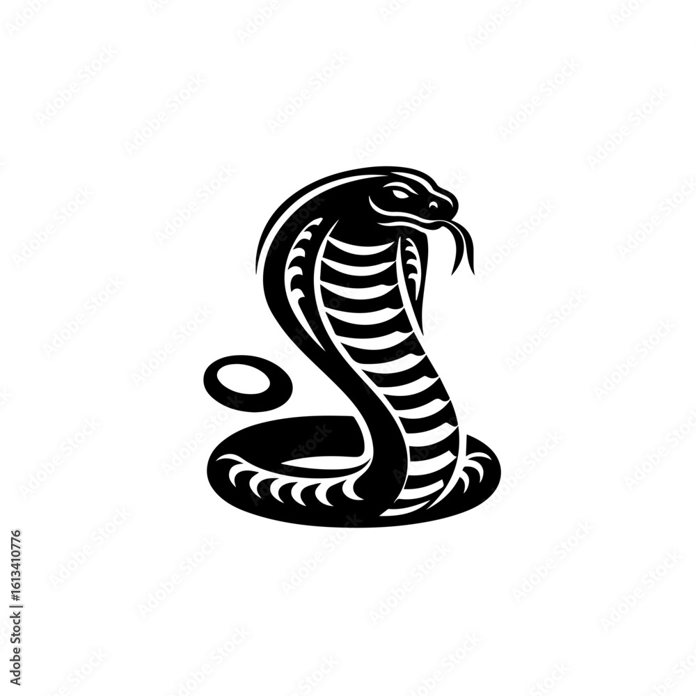 Fototapeta premium A black and white cobra snake illustration isolated on white background