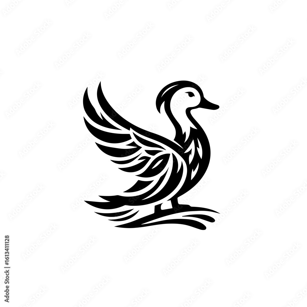 Fototapeta premium A graceful duck takes flight, isolated on white background