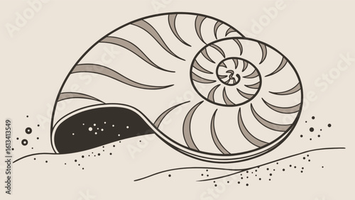 Nautilus shell drawing vector illustration in sand for marine life and ocean themed design projects art 100