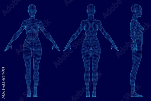 A low poly wireframe of a female body composed of geometric shapes and lines, showcasing detailed anatomy. The 3D model features a sleek blue background, highlighting the digital design.