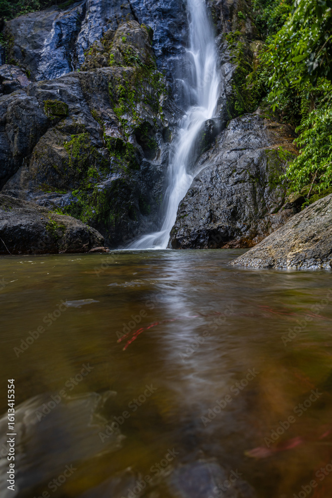 Naklejka premium Waterfall in deep tropical rainforest with green rainy tree nature landscape
