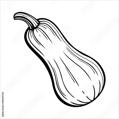 A hand-drawn illustration of a butternut squash. The squash is elongated with a smooth surface and a curved neck. It is depicted in a simple black outline style.