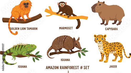 Amazon rainforest animals set, golden lion tamarin, capybara, iguana, marmoset, jaguar, armadillo, wildlife illustration, jungle fauna, exotic species, vector cartoon design