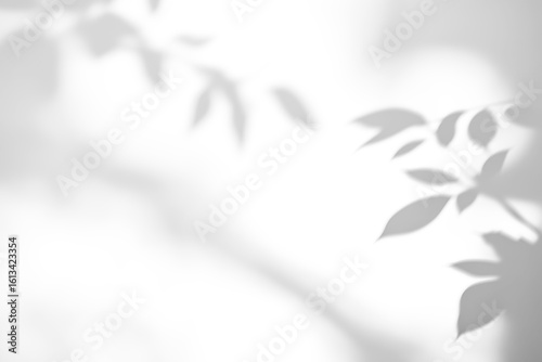 shadow overlay effects of realistic abstract natural tree leaves shadow on wall background,Summer sunlight and shadow overlay effect,shadow for photo interior backdrop studio mockup