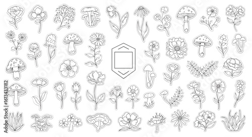 Compilation of decorative elements and floral motifs for artistic design and graphic applications