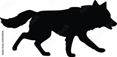 Silhouette of a wolf in motion, showcasing sleek build and dynamic forward stride
