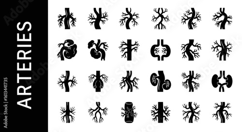 Human Arteries Silhouette Collection: Medical, Health, and Circulation Graphics