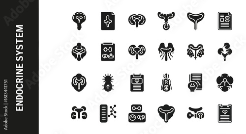 Endocrine System Silhouette Collection: Hormones, Glands, and Body Regulation