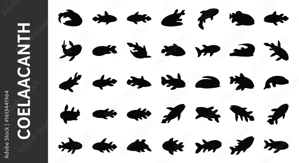 Obraz premium A collection of 25 Coelacanth -related editable Silhouette.