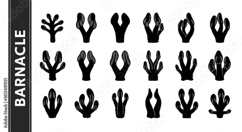 Barnacle Silhouette Collection: Marine Life, Ocean, and Crustacean Graphics