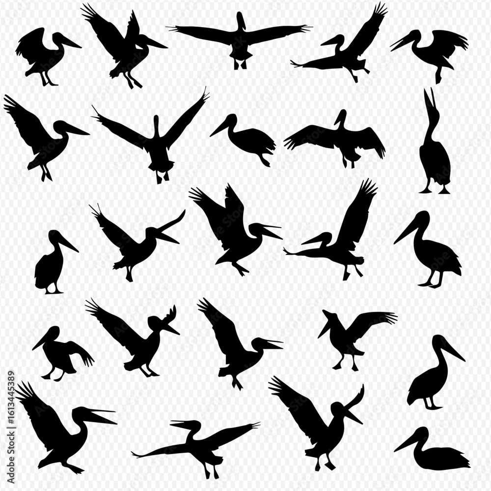 Fototapeta premium Collection of black pelican silhouettes in various poses and flight positions.