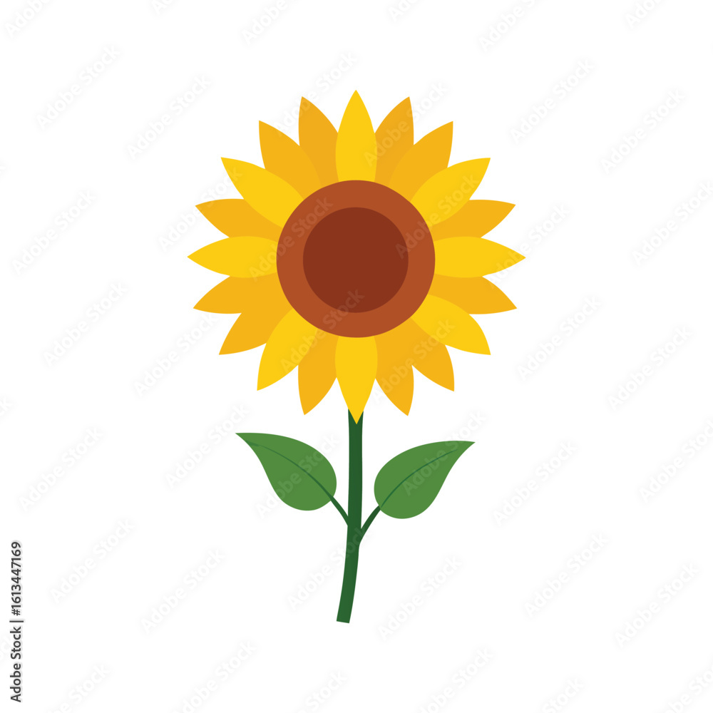 Obraz premium sunflower isolated on white