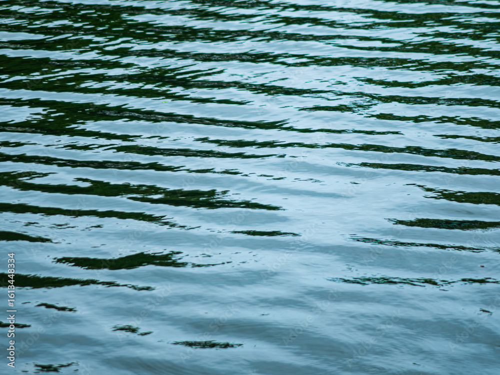 Fototapeta premium Close-up of Blue Water Surface with Gentle Ripples. Nature Background.