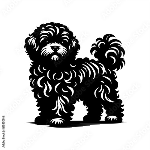 Black poodle dog standing and looking forward in silhouette