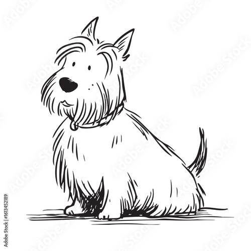 A black and white sketch of a cute Scottish Terrier dog sitting.