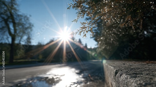 A vibrant sunset illuminates a serene forest road, casting long shadows under a clear blue sky