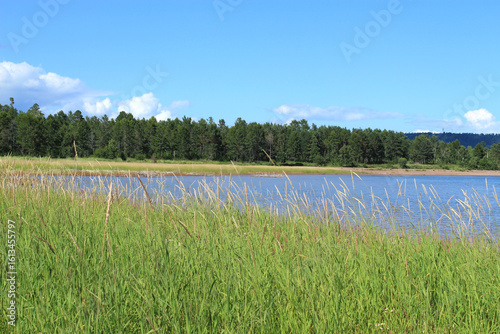 Tranquil river flowing past green grass to a forest under clear blue sky – peaceful nature scene