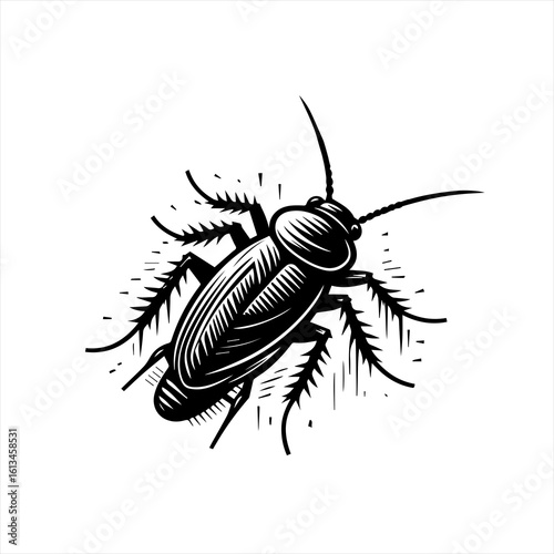 Detailed black and white illustration of a cockroach insect