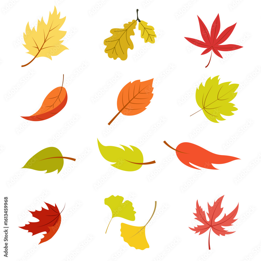 Fototapeta premium Set of fall leaves on white background. Elements of nature. Autumn illustration Vector