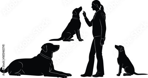 Dog trainer working with obedient dogs, training session outdoors, commands and discipline, pet behavior, canine learning, black vector illustration