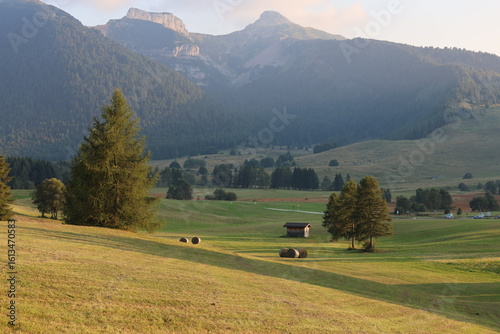 Bild auf Leinwand Vason, Trento