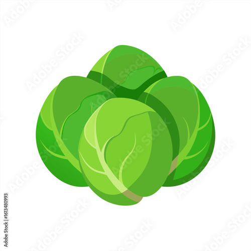 brussels sprouts on transparent background