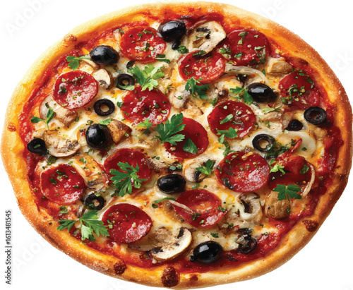 pepperoni pizza vector illustration	

