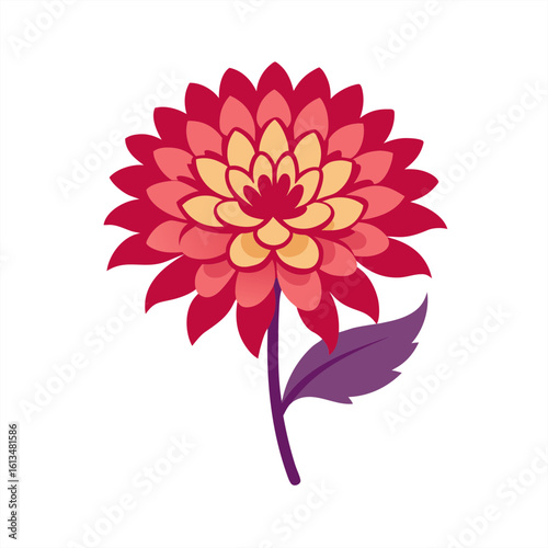 chrysanthemum on transparent background