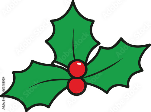 holly leaf vector illustration on transparent background