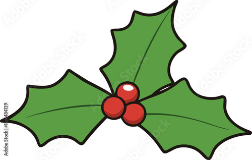 holly leaf vector illustration on transparent background
