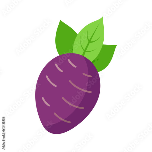 taro on transparent background