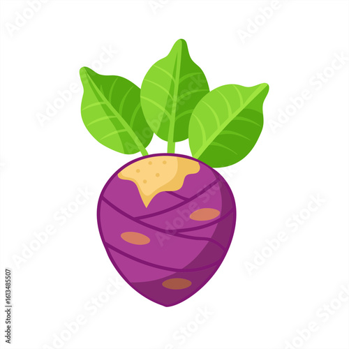 taro on transparent background