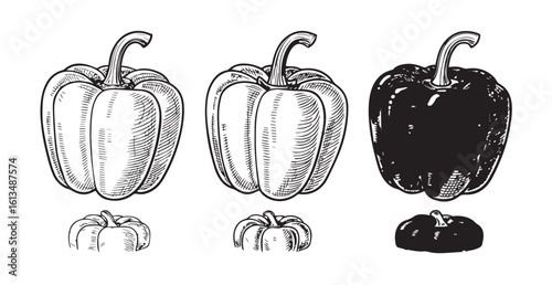 Three bell peppers in different colors and styles silhouette