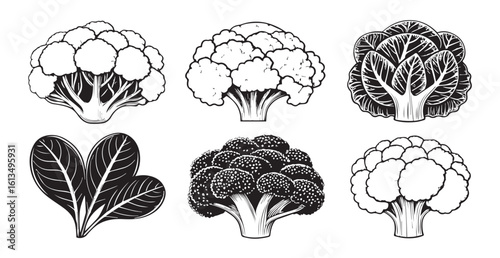 Collection of hand drawn vegetable silhouettes for culinary design