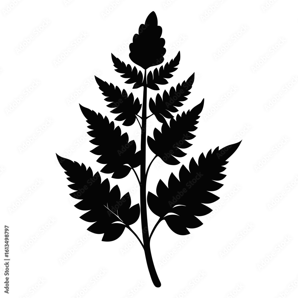 Naklejka premium vector silhouette of a flower