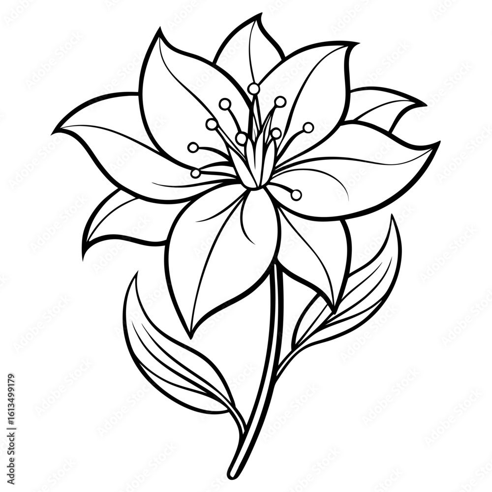 black and white flower black and white flower
