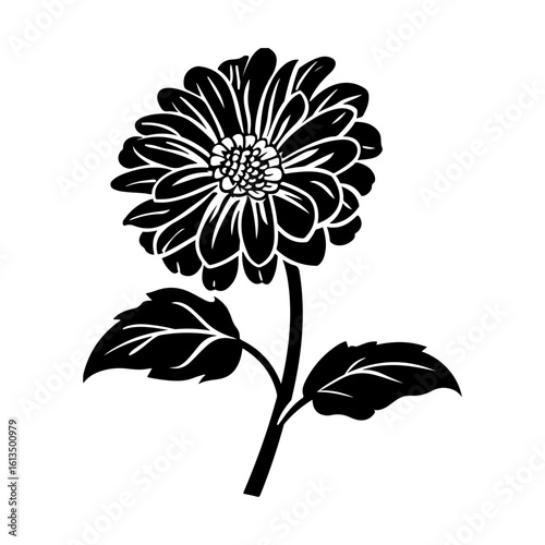 Aster Floral Design Silhouette