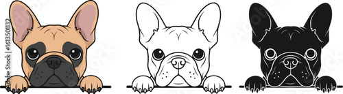 Three french bulldog puppy dogs peeking over fence cute pet animal vector illustration