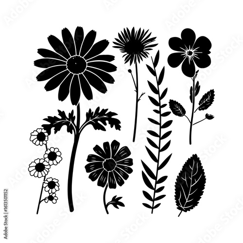Black Aster Flower Art Silhouette
