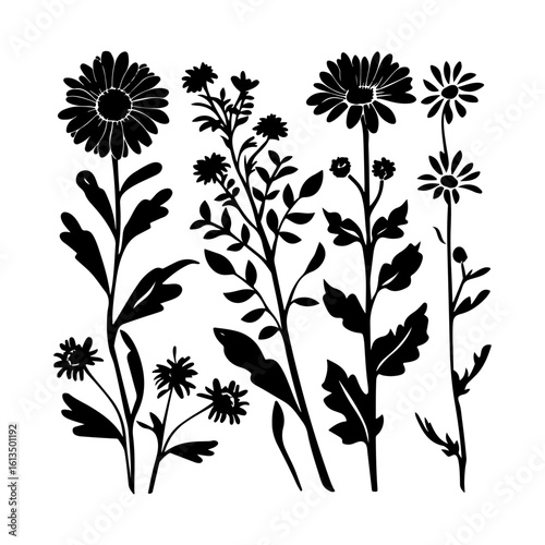 Simple Aster Bloom Silhouette