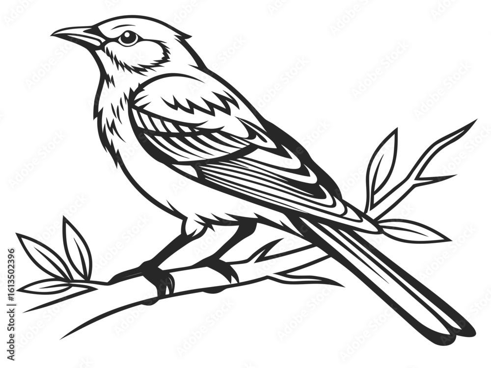 Obraz premium vector illustration of a bird