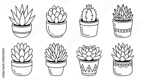 Line art illustration of potted succulents and cactus plants for botanical and home decor themed designs and coloring books