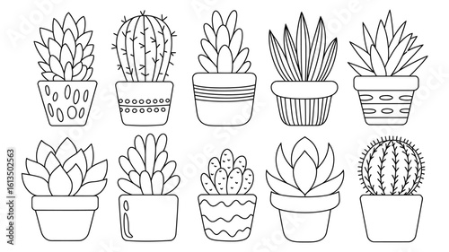 Collection of Hand Drawn Cacti and Succulents in Pots Ready for Coloring and Creative Projects or Gardening Themed Designs