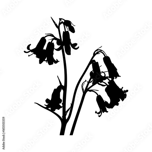 Minimal Bluebell Design Silhouette