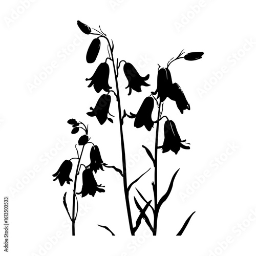 Elegant Bluebell Art Silhouette