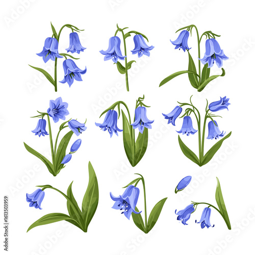 Bluebell Vector Design Silhouette