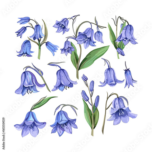 Bluebell Graphics Collection Silhouette